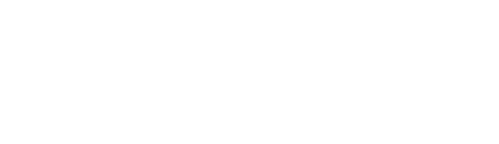 Gazzari Sistema